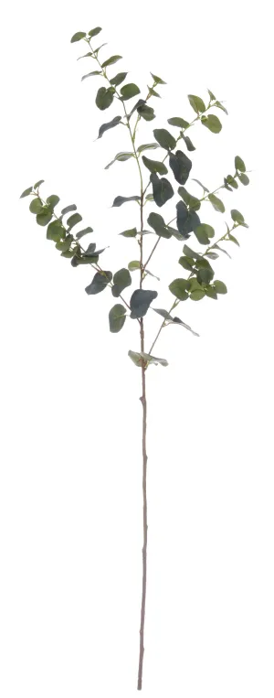 EUCALYPTUS SPRAY