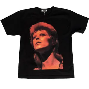 Shining Like The Sun (David Bowie)